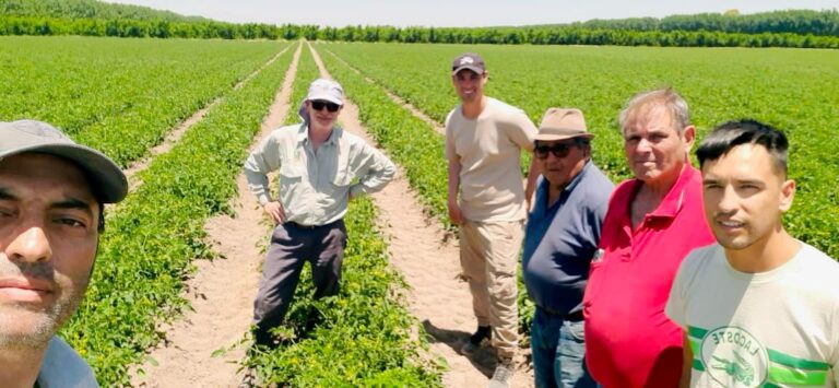 Santa Rosa impulsa la producción de tomate para industria con visitas técnicas a fincas