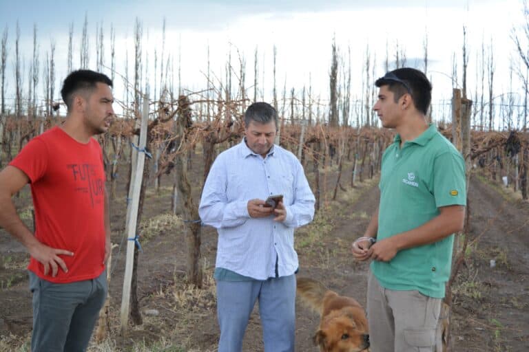 Continúa la entrega de oxicloruro de cobre a productores santarrosinos