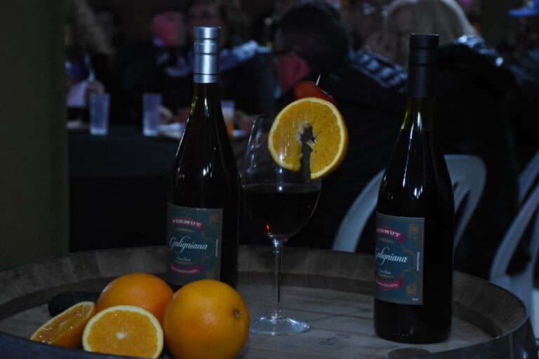 EXITOSO PRIMER FESTIVAL DE VERMUT EN SANTA ROSA