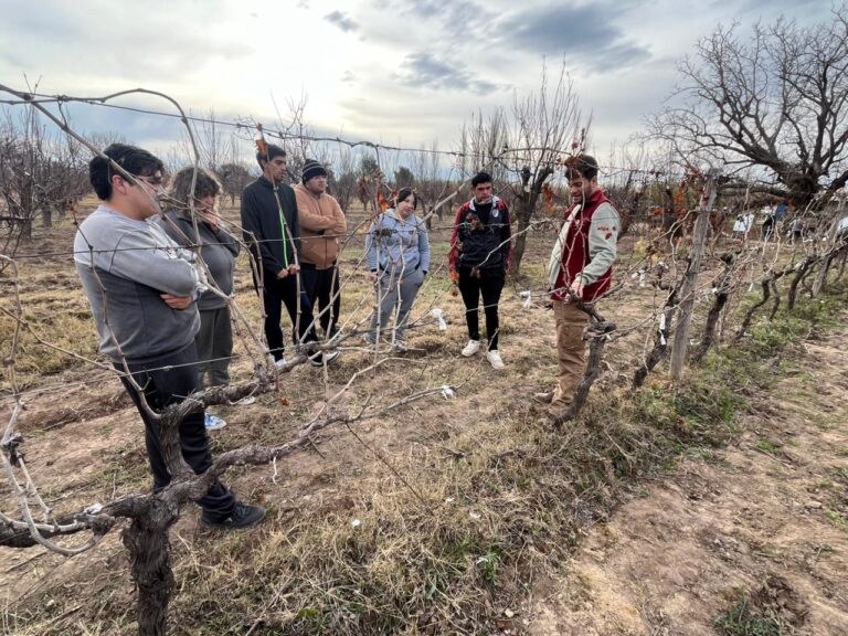 GRAN CAPACITACIÓN EN PODA DE VID Y FRUTALES EN SANTA ROSA