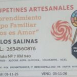 Carlos Daniel Salinas