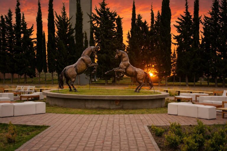VINO AL CAMPO EN PRIMAVERA: SANTA ROSA PRESENTA UN SUNSET ÚNICO